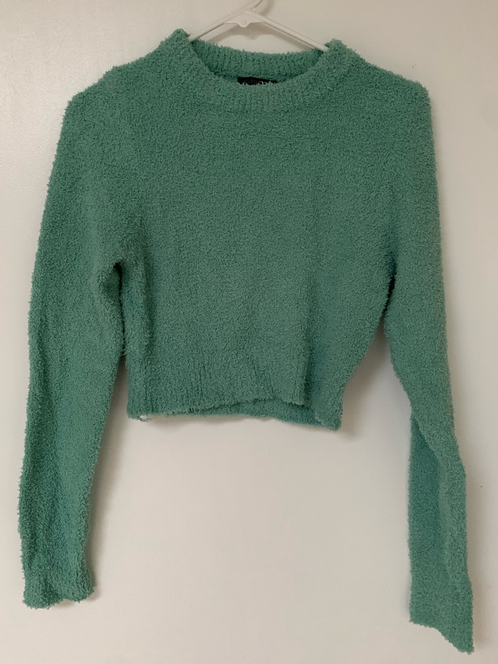 Papermoon Fuzzy Cropped Crew Neck Sweater in Mint Green